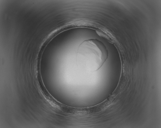 X0000083530438200702240022