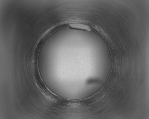 X0000083530440200702240022