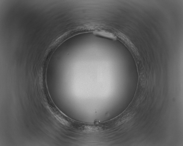 X0000083530442200702240022