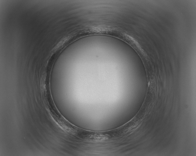 X0000083530443200702240022