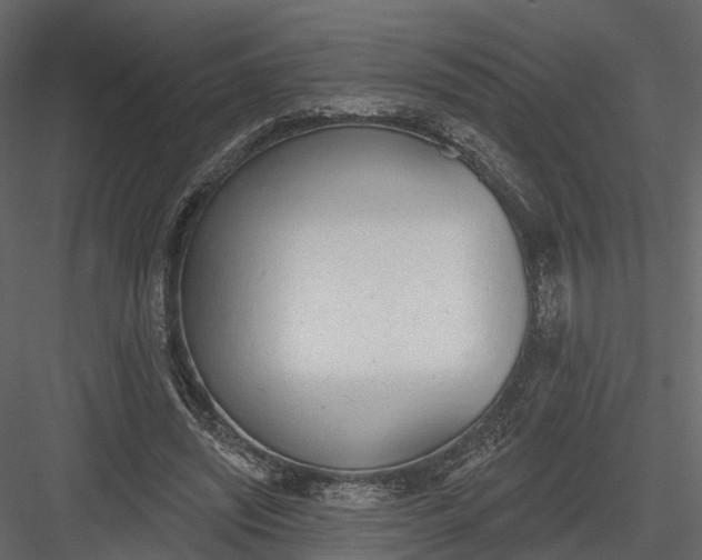 X0000083530444200702240022