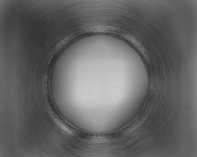 X0000083530445200702240022