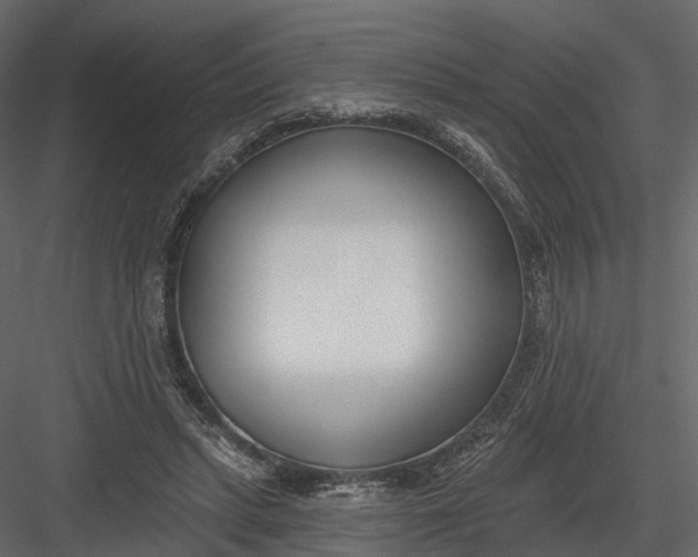 X0000083530447200702240022