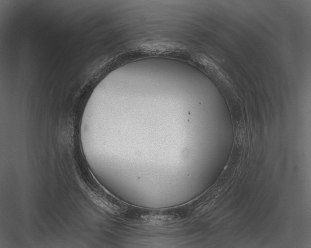 X0000083530448200702240022