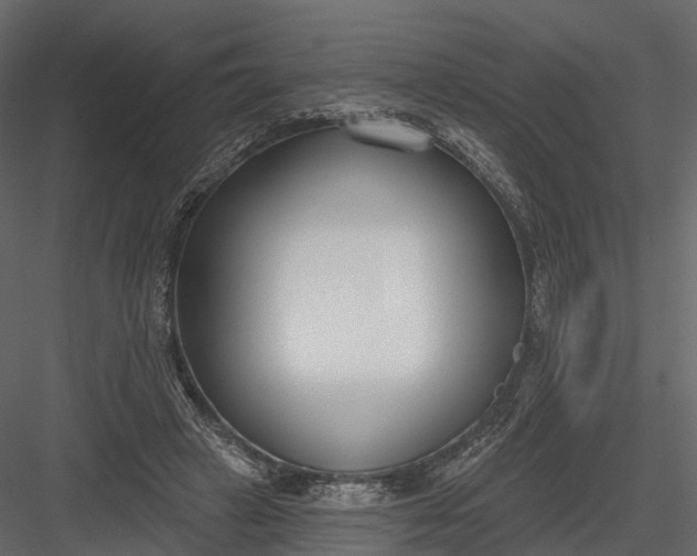 X0000083530449200702240022