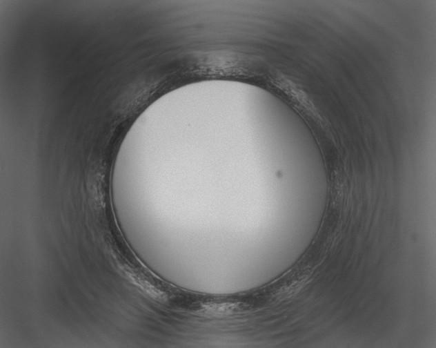 X0000083530450200702240022