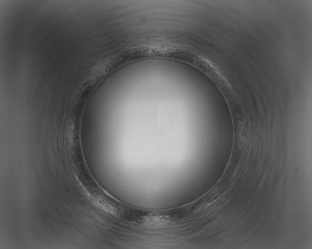 X0000083530451200702240022