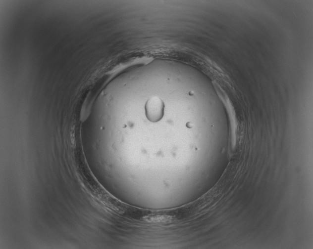 X0000083530452200702240022