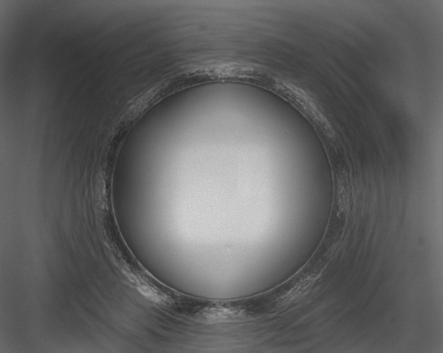 X0000083530453200702240022