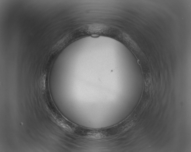 X0000083530454200702240022