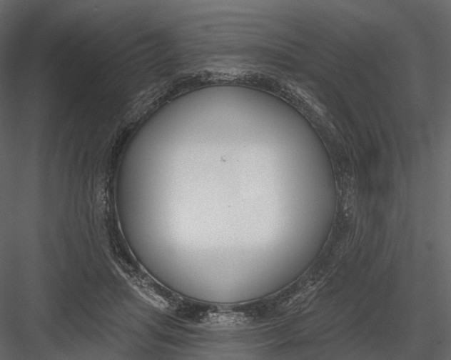 X0000083530455200702240022