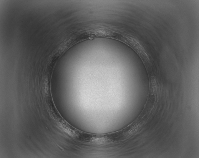 X0000083530457200702240023