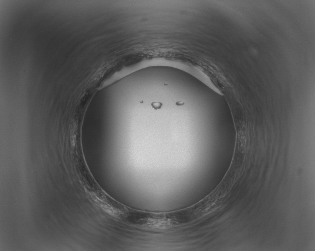 X0000083530458200702240023