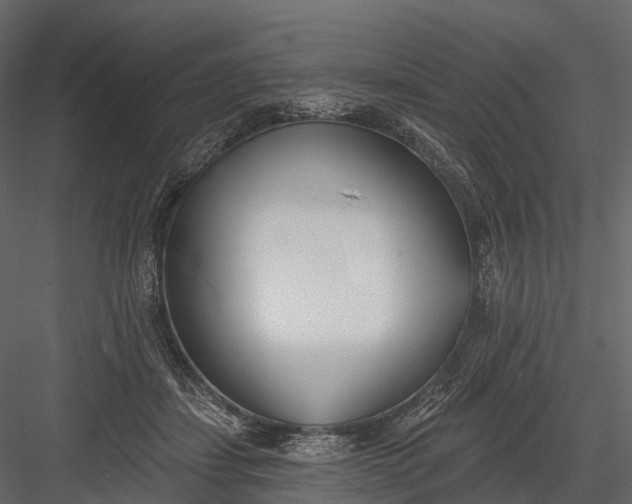 X0000083530459200702240023