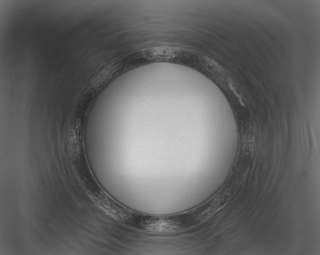 X0000083530460200702240023