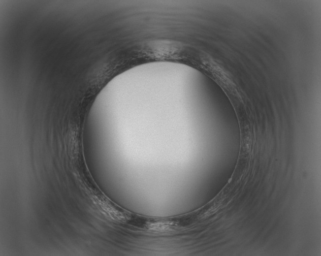 X0000083530461200702240023