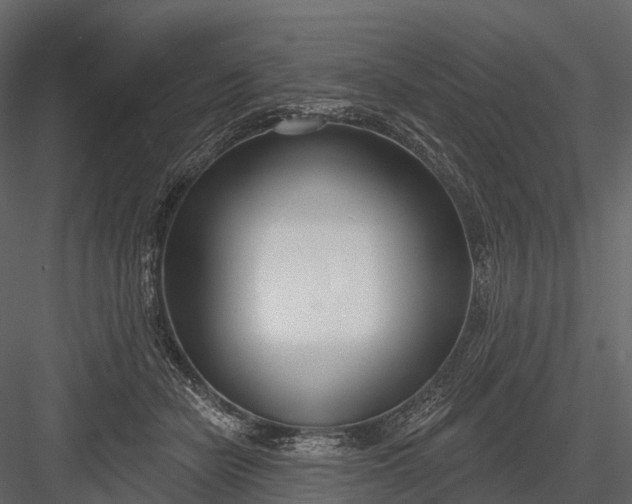 X0000083530462200702240023