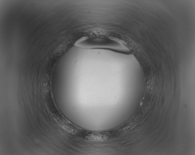 X0000083530464200702240023