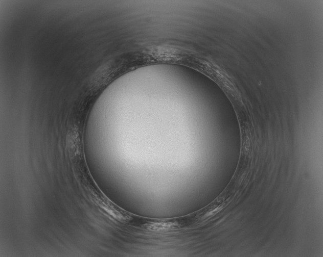 X0000083530465200702240023