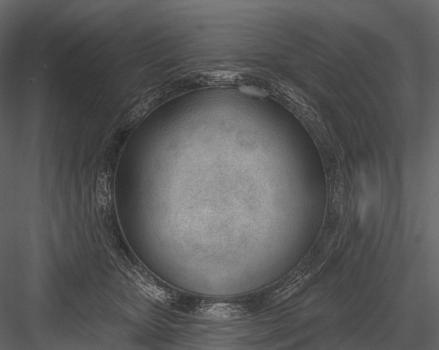 X0000083530467200702240023