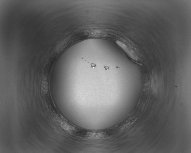 X0000083530469200702240023