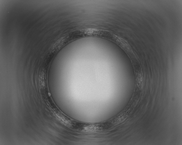 X0000083530470200702240023