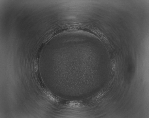 X0000083530471200702240023