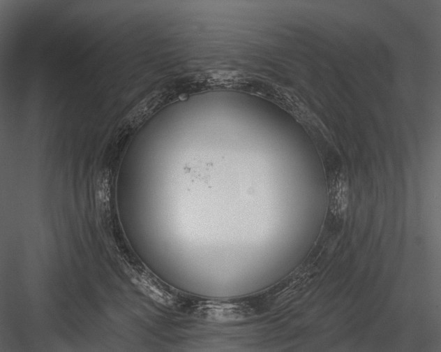 X0000083530472200702240023