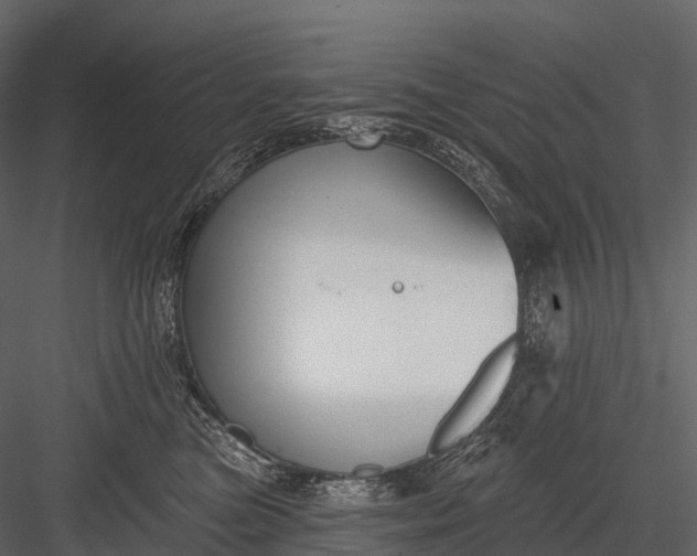 X0000083530473200702240023