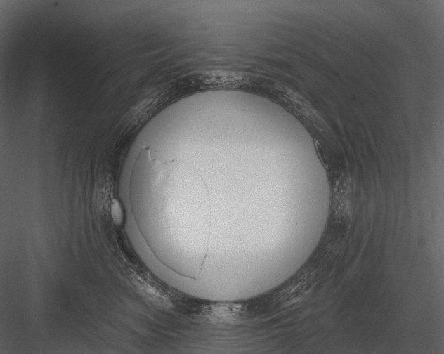 X0000083530474200702240023