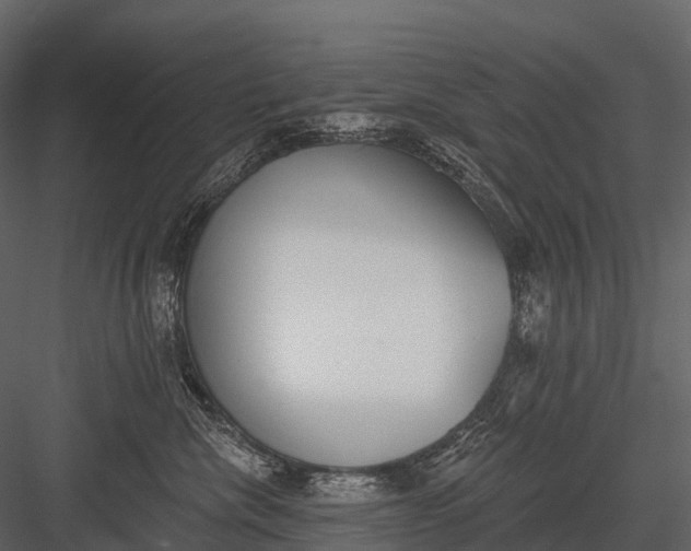 X0000083530476200702240023