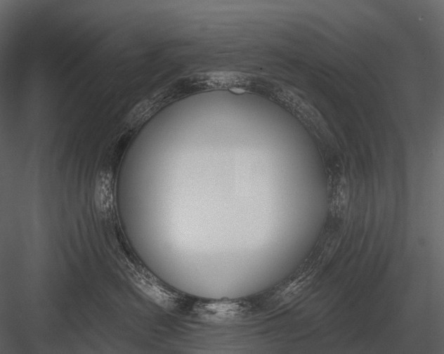 X0000083530478200702240023