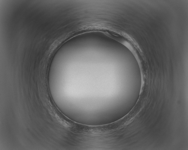 X0000083530481200702240022