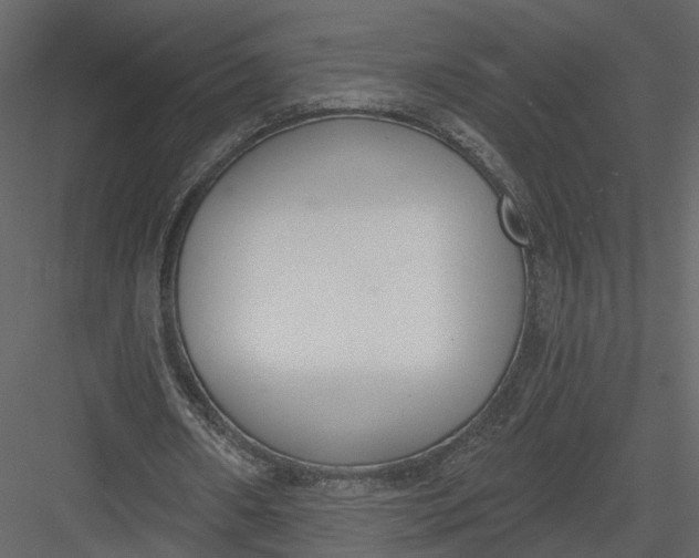 X0000083530482200702240022