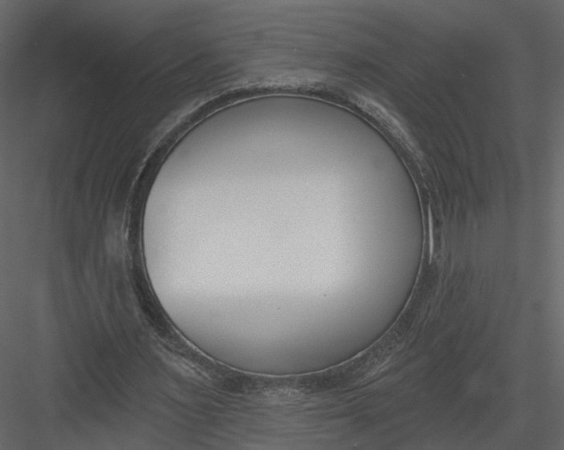 X0000083530483200702240022