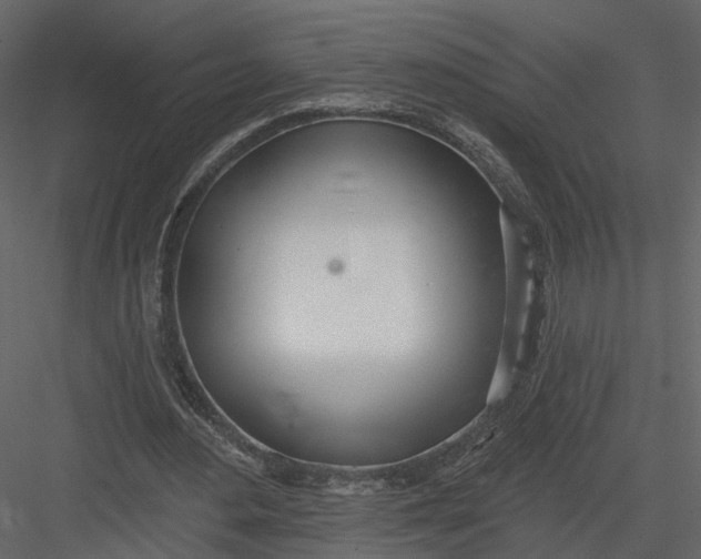 X0000083530484200702240022