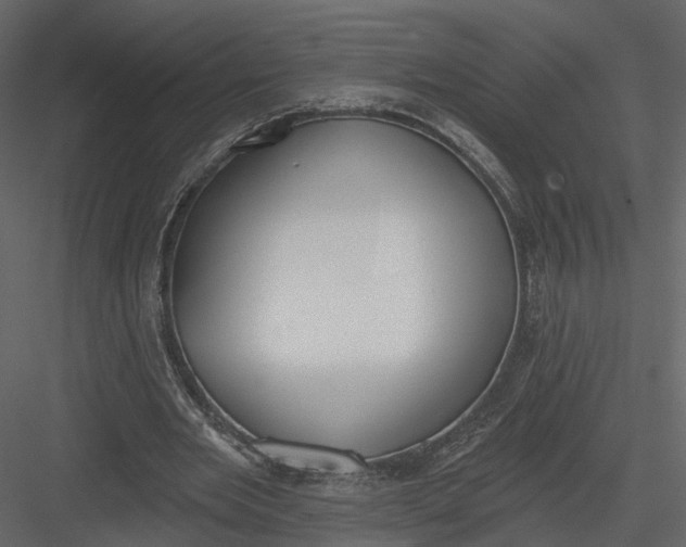 X0000083530485200702240022