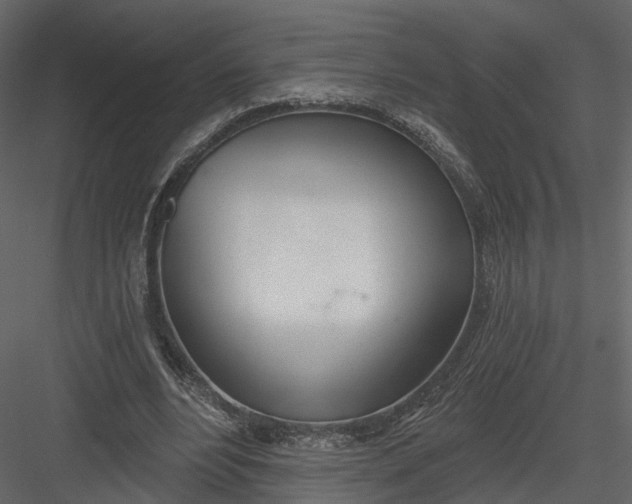 X0000083530488200702240022