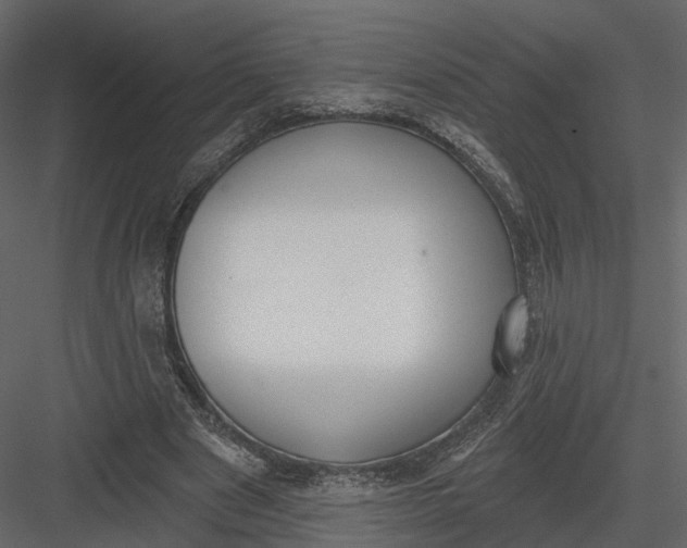 X0000083530489200702240022