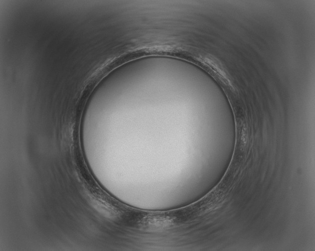 X0000083530491200702240022