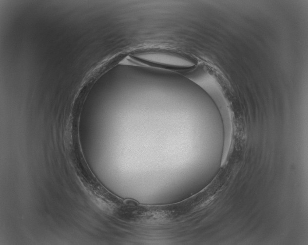 X0000083530492200702240022