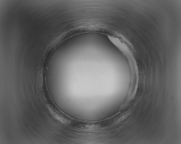 X0000083530493200702240022