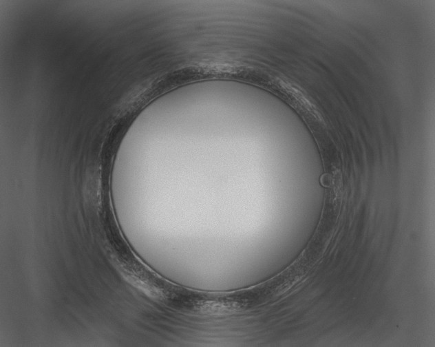 X0000083530494200702240022