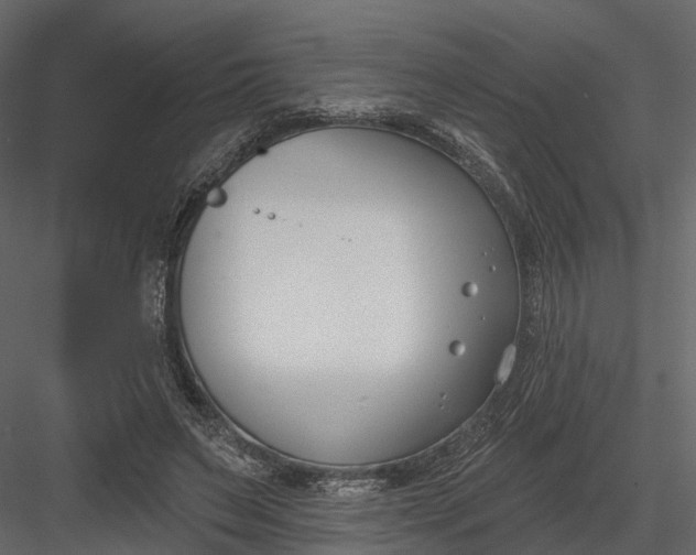 X0000083530495200702240022