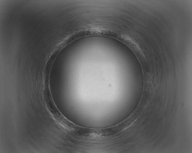 X0000083530496200702240022