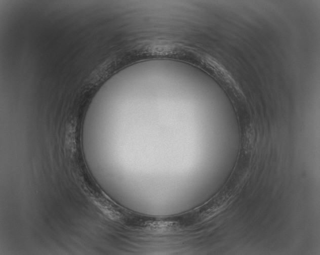 X0000083530497200702240022