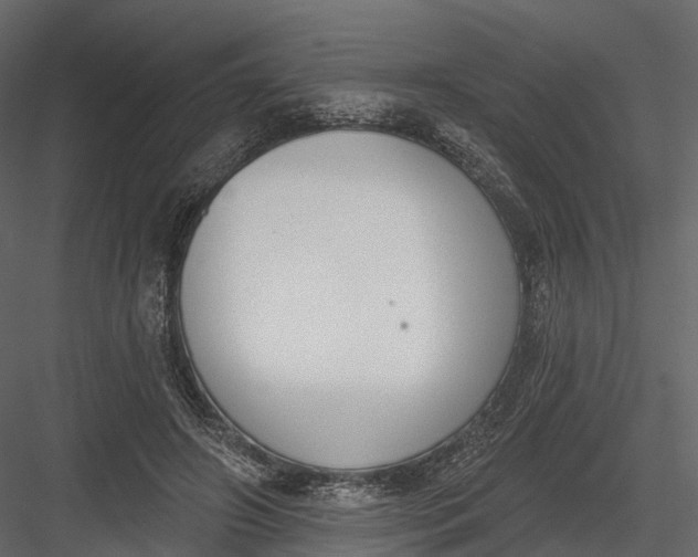 X0000083530498200702240022