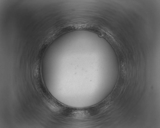 X0000083530499200702240022