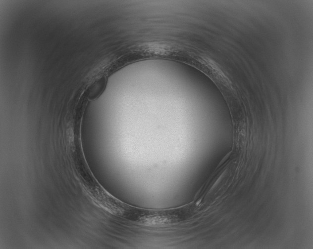 X0000083530500200702240022