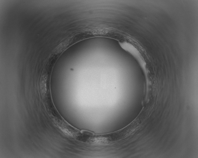 X0000083530501200702240022